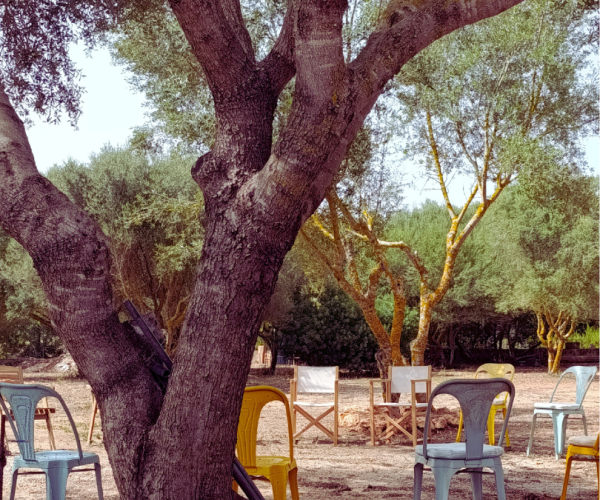 Constelaciones Paloma (9)